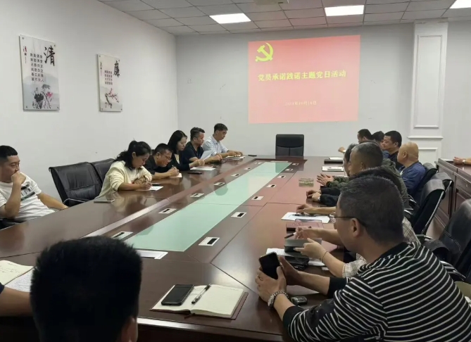 景德鎮(zhèn)長運(yùn)：開展黨員亮身份、承諾踐諾主題黨日活動(dòng)